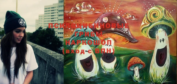 марки lsd Богданович